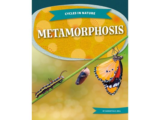 Metamorphosis