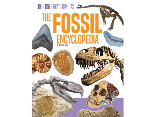 Fossil Encyclopedia
