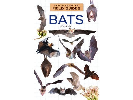 Bats