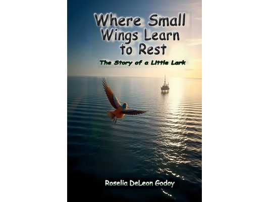 Where Small Wings Learn to Rest: The Story of a Little Lark