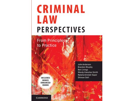 Criminal Law Perspectives: From Principles to Practice