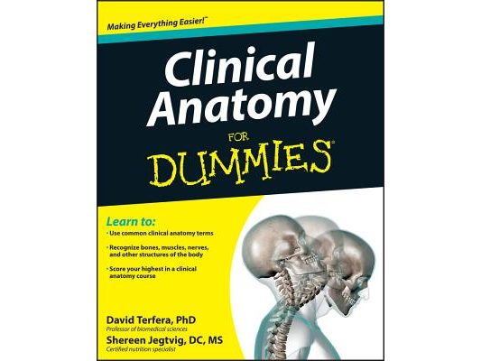 Clinical Anatomy for Dummies