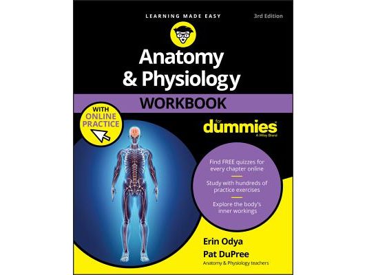 Anatomy & Physiology Workbook for Dummies with Online Practice