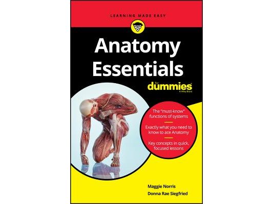Anatomy Essentials for Dummies