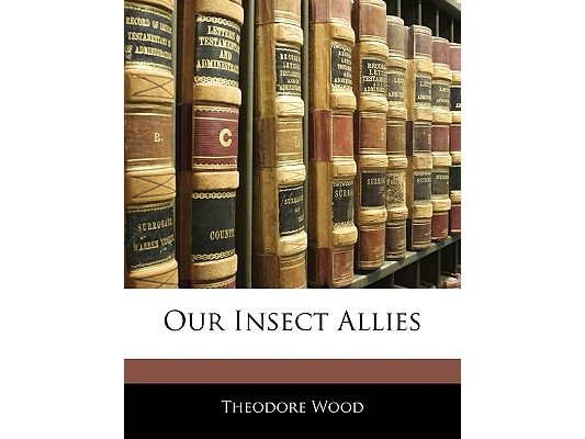 Our Insect Allies