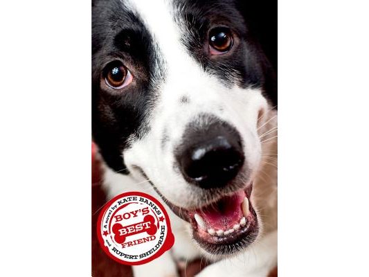 Boy's Best Friend