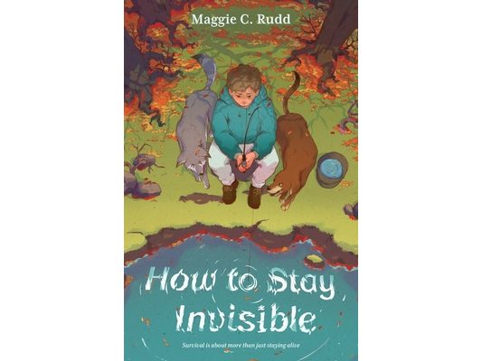 How to Stay Invisible