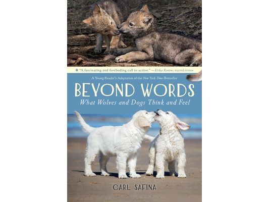 Beyond Words: What Wolves and Dogs Think and Feel (a Young Reader's Adaptation)