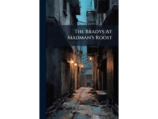 The Bradys At Madman's Roost