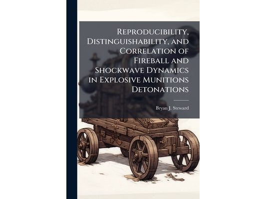 Reproducibility, Distinguishability, and Correlation of Fireball and Shockwave Dynamics in Explosive Munitions Detonations