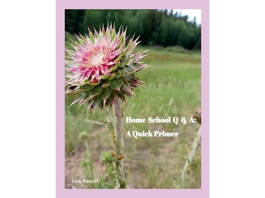 Home School Q & A: A Quick Primer