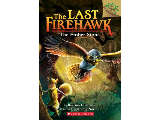 The Ember Stone: A Branches Book (the Last Firehawk #1)