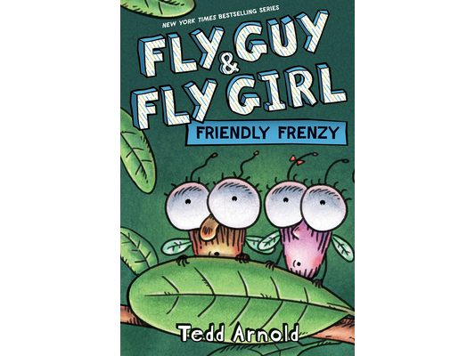 Fly Guy and Fly Girl: Friendly Frenzy