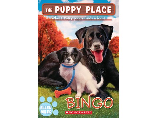 Bingo (the Puppy Place #65): Volume 65