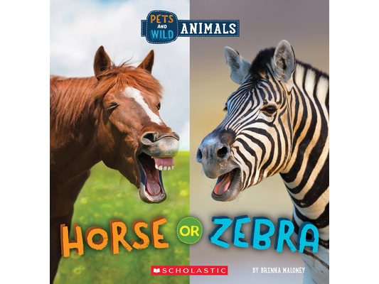 Horse or Zebra (Wild World: Pets and Wild Animals)