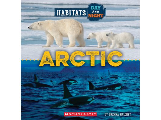Arctic (Wild World: Habitats Day and Night)