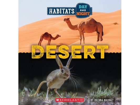 Desert (Wild World: Habitats Day and Night)