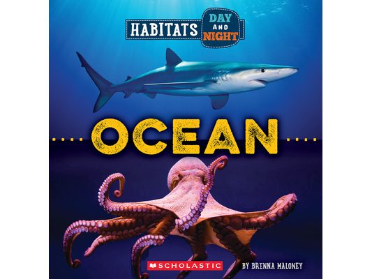 Ocean (Wild World: Habitats Day and Night)