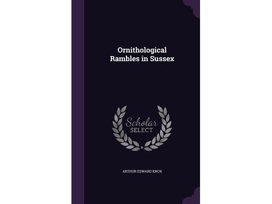Ornithological Rambles in Sussex