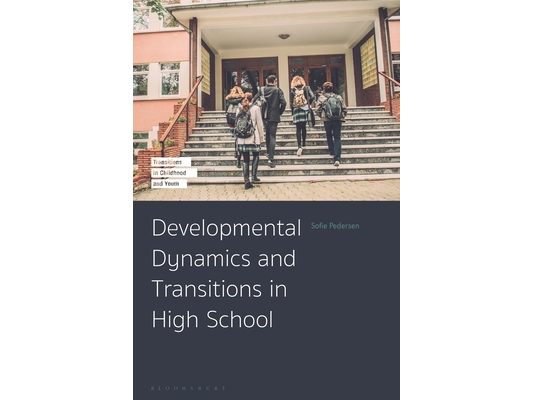 Developmental Dynamics and Transitions in High School
