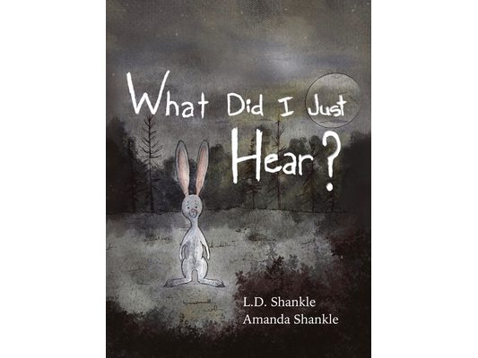 What Did I Just Hear?: A children's book about dealing with feelings of fear