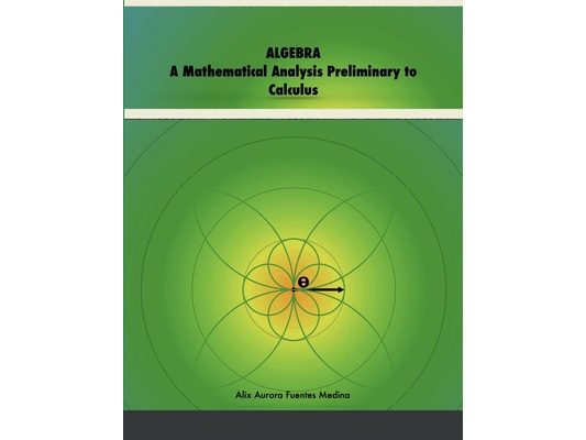 Algebra: A Mathematical Analysis Preliminary to Calculus