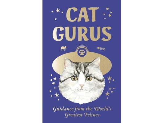 Cat Gurus (Mini Deck): Guidance from the World's Greatest Felines
