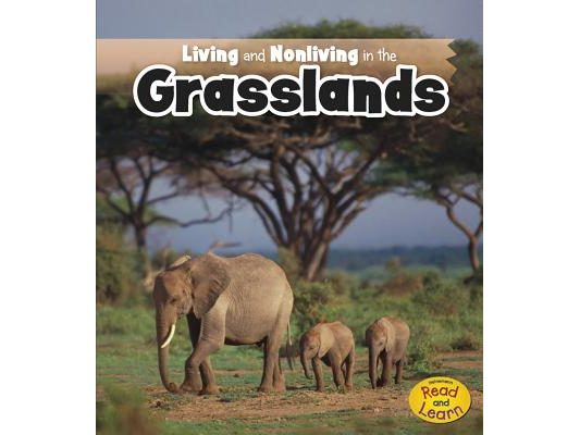 Living and Nonliving in the Grasslands