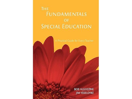 The Fundamentals of Special Education: A Practical Guide for Every Teacher