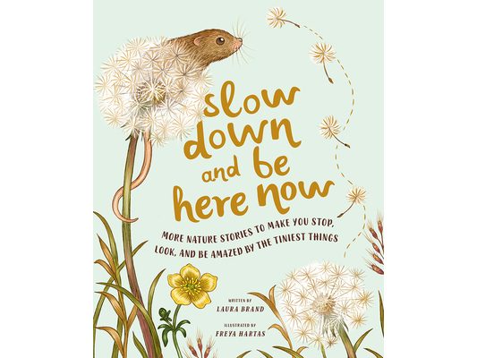 Slow Down and Be Here Now: More Nature Stories to Make You Stop, Look, and Be Amazed by the Tiniest Things