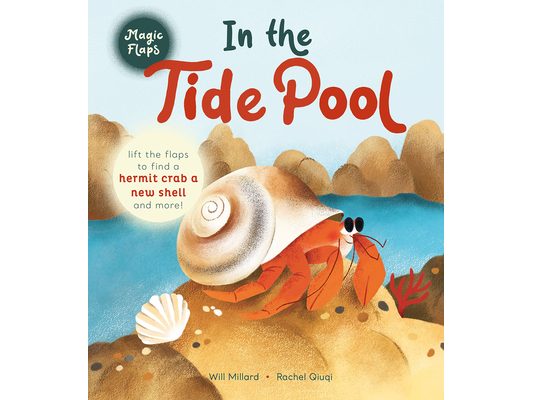 In the Tide Pool: A Magic Flaps Book