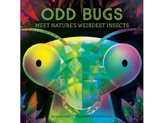Odd Bugs (a Curious Critters Board Book): Meet Nature's Weirdest Insects