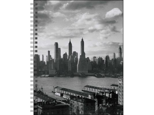 New York in Art 12-Month 2027 Engagement Calendar