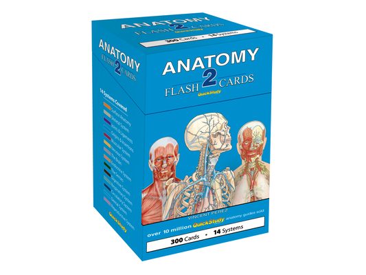 Anatomy 2 Flash Cards: A Quickstudy Reference Tool