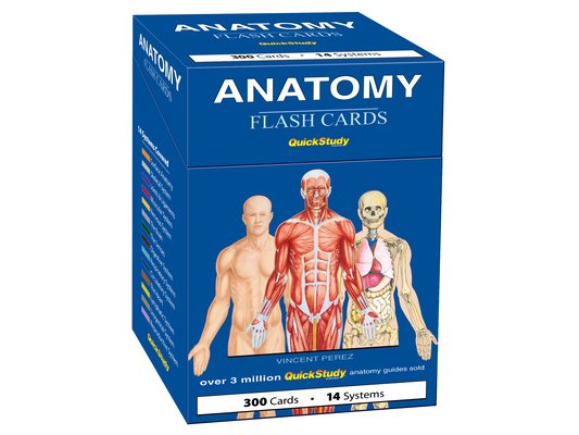 Anatomy Flash Cards: A Quickstudy Reference & Study Tool