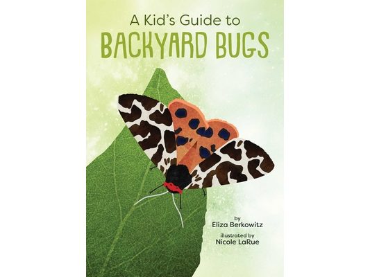 A Kid's Guide to Backyard Bugs