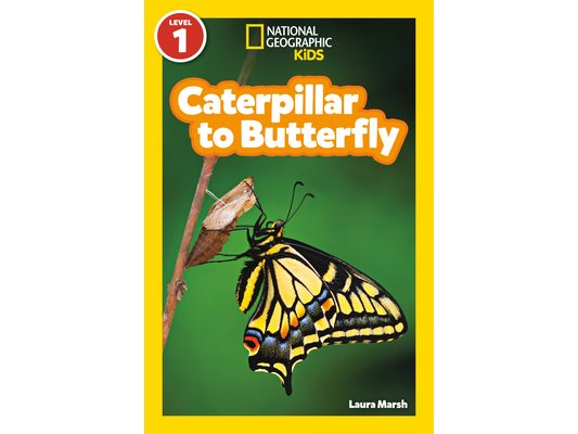 Caterpillar to Butterfly (National Geographic Kids Readers, Level 1)