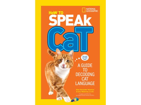 How to Speak Cat: A Guide to Decoding Cat Language