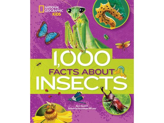 1,000 Facts about Insects