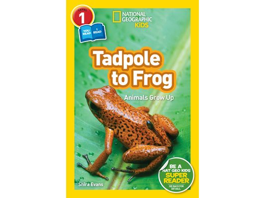 Tadpole to Frog (National Geographic Kids Readers, Level 1/Co-Reader): Animals Grow Up