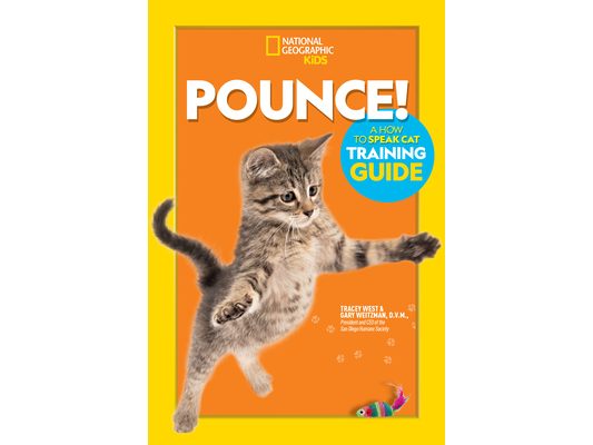 Pounce! a How to Speak Cat Training Guide