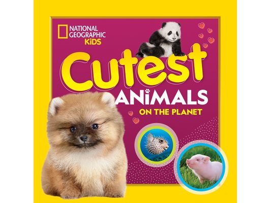Cutest Animals on the Planet