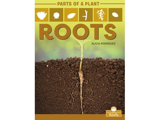 Roots