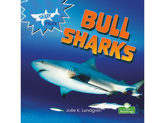 Bull Sharks
