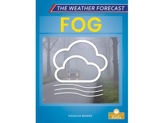 Fog