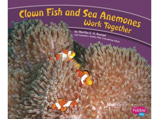 Clown Fish and Sea Anemones Work Together