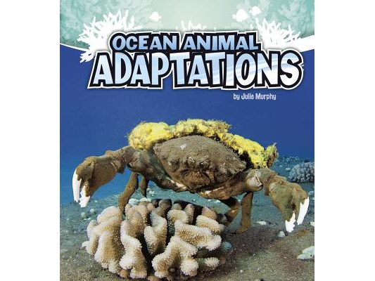 Ocean Animal Adaptations