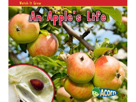 An Apple's Life