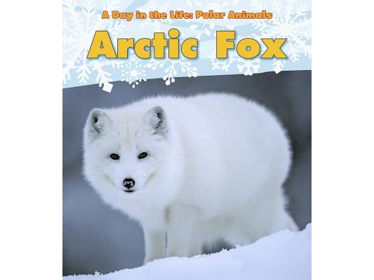 Arctic Fox