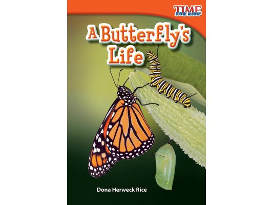 A Butterfly's Life